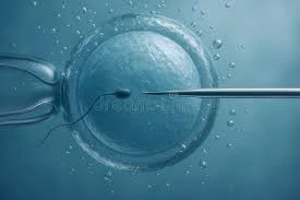 IA y Microfluidos: El sistema STAR que encuentra "espermatozoides ocultos" donde el ojo humano falla