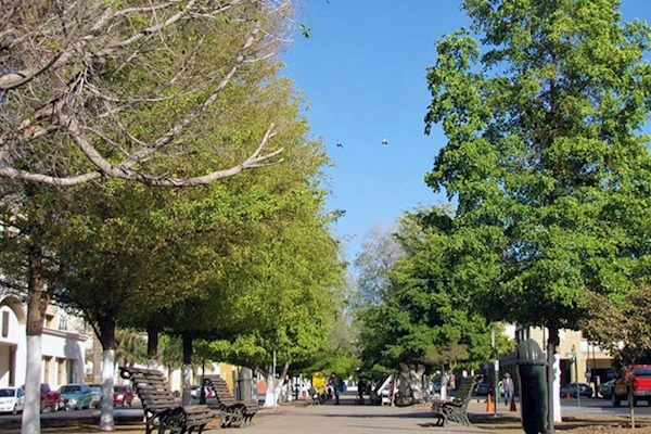 Hermosillo usará tecnología de Google para mapear y combatir el calor extremo calle por calle